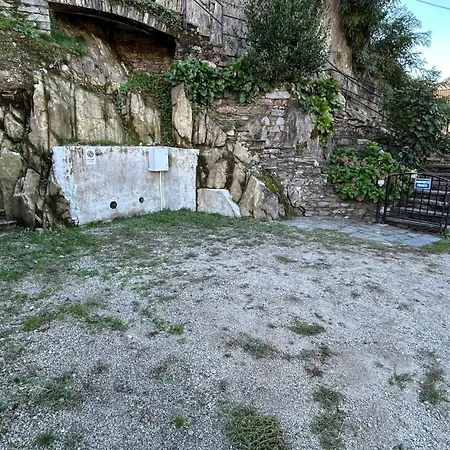 Federica